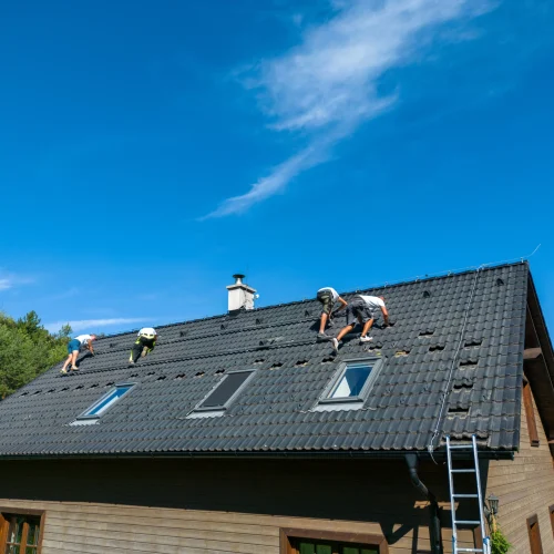 men-worker-installing-solar-photovoltaic-panels-on-2024-10-22-13-52-13-utc (1)